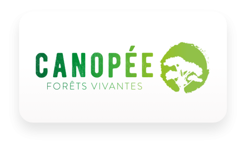 canopee-pave-logo